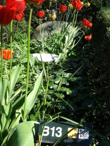 There are QR codes on special graves (here the grave of the Danish poet Dan Turèll)