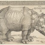 The Rhinoceros, Holzschnitt von Albrecht Dürer, The Metropolitan Museum of Art