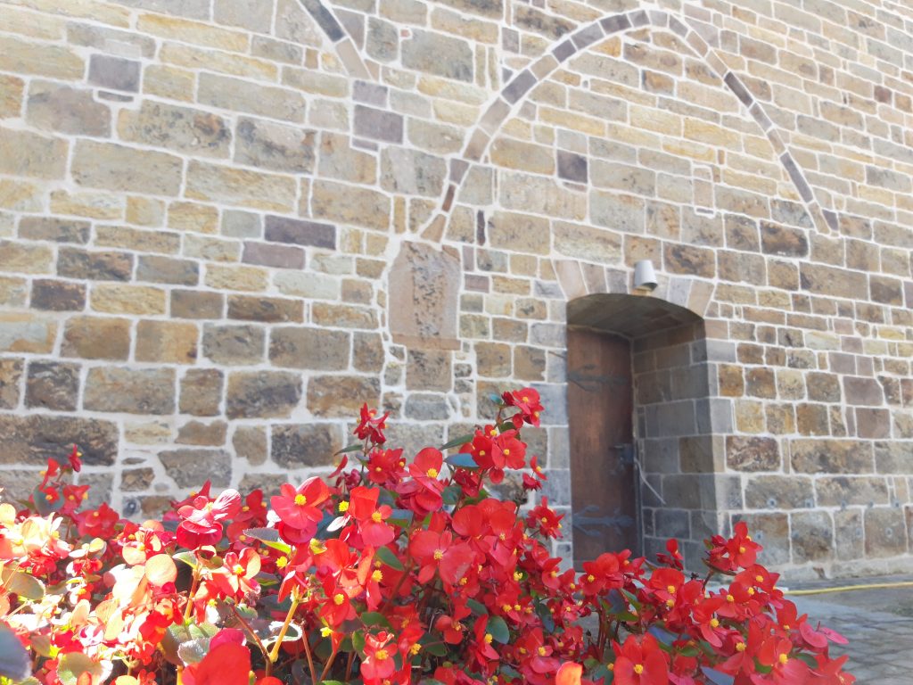 Rote Blumen im Vordergrund, Klosterkirch-Mauern im Hintergrund